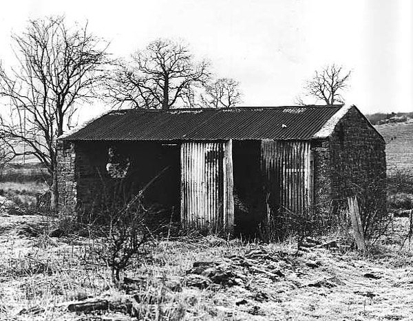 Pest House by Colin Robinson