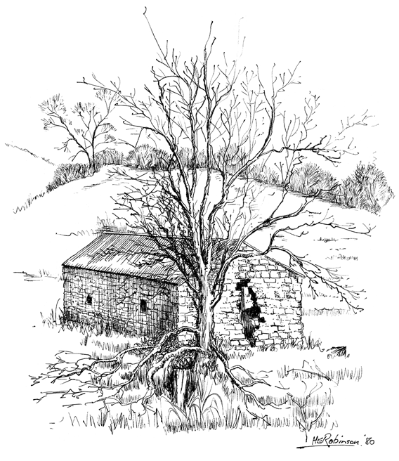 Pest house drawing