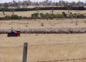 View of Deddington, Tasmania