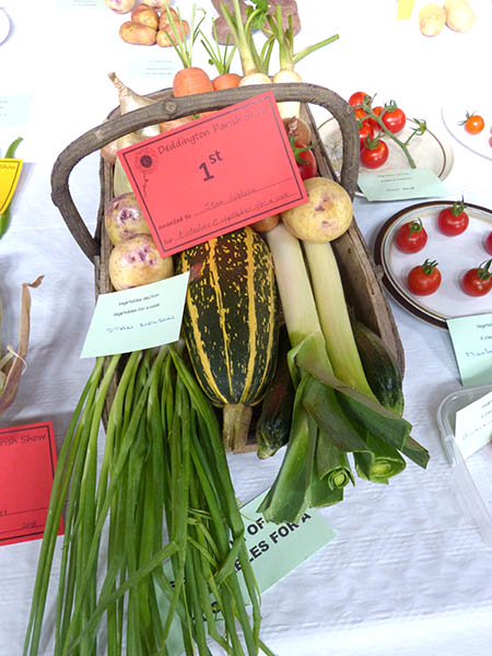 VegCookRed