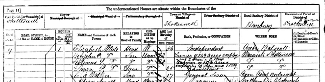 LauraPWhite1881census.mod