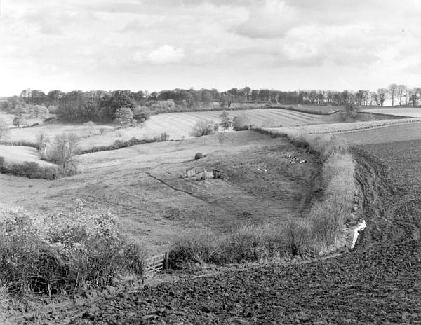 Swerford, Plough land with background ridge and furrow and chickens