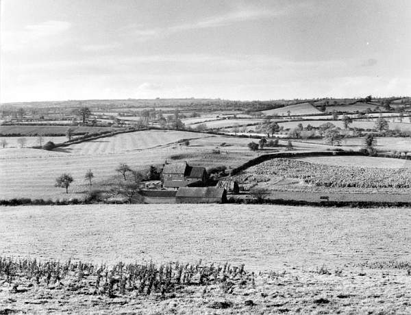 Bury's Hill