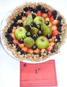NelsonFruitRed
