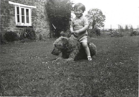 John11.1939_onbackofWelforddog