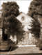 Primitive Methodist