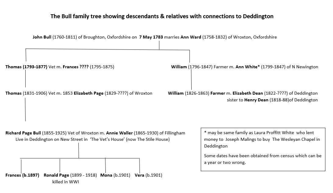 Bulltreewithdtonconnections.v3